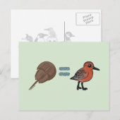 Carte Postale Les crabes en fer à cheval sont la vie (Devant / Derrière)