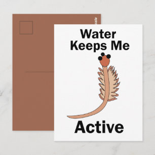 Carte Postale Les crevettes de saumure Sea Monkeys Water me gard