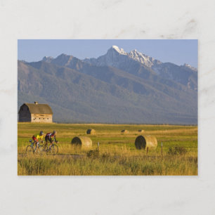 Carte Postale Les cyclistes de la route font la course dans l'ar