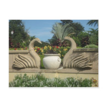 Les cygnes gardent Hollis Gardens