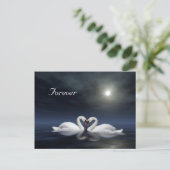 Carte Postale Les cygnes qui aiment (Debout devant)