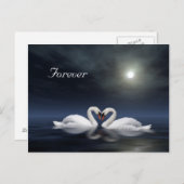 Carte Postale Les cygnes qui aiment (Devant / Derrière)