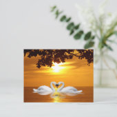 Carte Postale Les cygnes qui aiment (Debout devant)