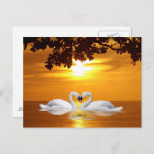 Carte Postale Les cygnes qui aiment (Devant / Derrière)