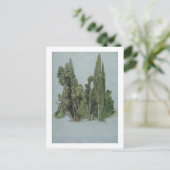 Carte Postale Les Cyprès à la Villa d'Este, Tivoli (w/c & g (Debout devant)