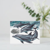 Carte Postale Les dauphins (Debout devant)