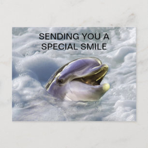 Carte Postale Les dauphins sourient le mieux
