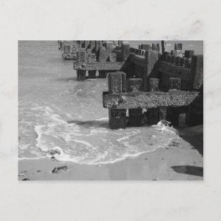 Carte Postale "Les défenses en bois de la mer"