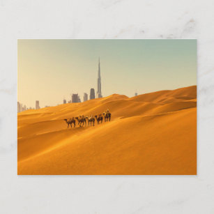 Carte Postale Les déserts   Vue Skyline de Dubaï avec chameaux
