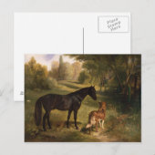 Carte Postale Les deux amis (Devant / Derrière)