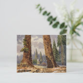 Carte Postale Les Deux Sentinelles, à la Grove des Grands Arbres (Debout devant)