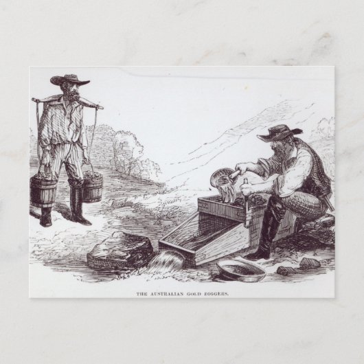 Carte Postale Les Diggers d'or australiens (Devant)