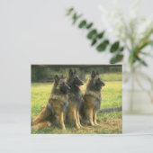 Carte Postale Les Dogs de German (Debout devant)