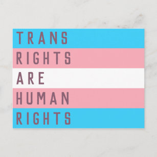 Carte Postale Les droits transgenres sont un drapeau transgenre 