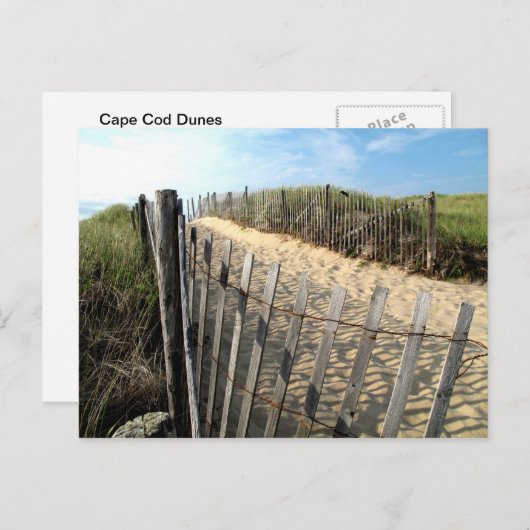 Carte Postale Les dunes de Cape Cod (Devant / Derrière)