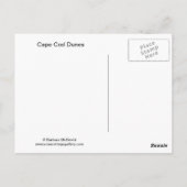 Carte Postale Les dunes de Cape Cod (Dos)