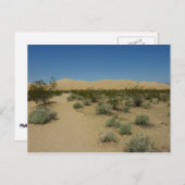 Carte Postale Les dunes de Kelso dans le parc national Mojave (Devant / Derrière)