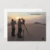 Carte Postale Les dunes de sable d'Athabasca (Devant / Derrière)