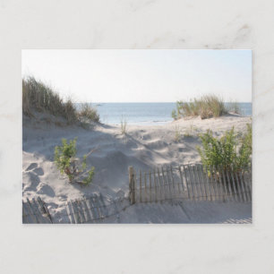 Carte Postale Les dunes d'Ocean City