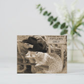 Carte Postale Les Écureuils Dans L'Ancien Ouest (Debout devant)