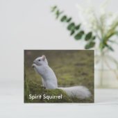 Carte Postale Les écureuils spirituels de l'Ouest (Debout devant)