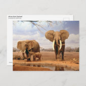 Carte Postale Les éléphants dans le désert