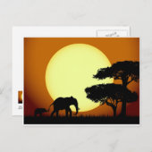 Carte Postale Les éléphants Safari au coucher du soleil (Devant / Derrière)
