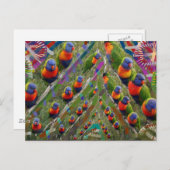 Carte Postale Les ENFANTS aiment les perroquets (Devant / Derrière)