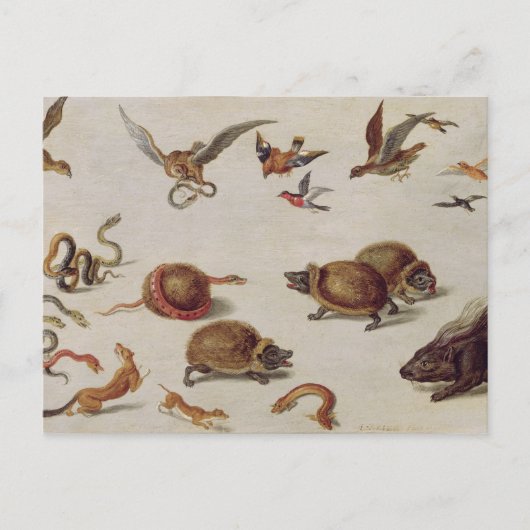Carte Postale Les ennemis des serpents (Devant)