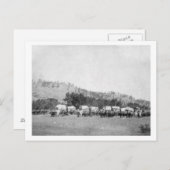 Carte Postale Les équipes d'ox et les Wagons dans une vallée des (Devant / Derrière)