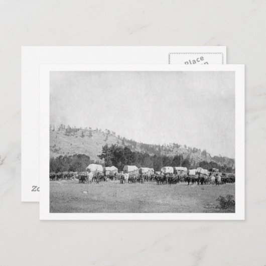 Carte Postale Les équipes d'ox et les Wagons dans une vallée des (Devant / Derrière)