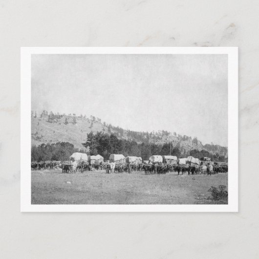 Carte Postale Les équipes d'ox et les Wagons dans une vallée des (Devant)