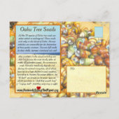 Carte Postale Les escargots célèbres d'arbre d'Oahu vont éteints (Dos)