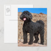 Carte Postale Les Etats-Unis, la Californie. Position de (Devant / Derrière)