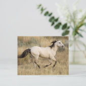 Carte Postale Les Etats-Unis, Orégon, Sénèque, ranch de (Debout devant)