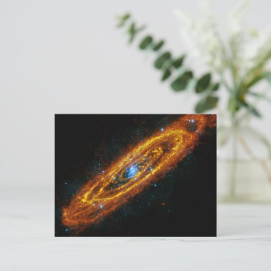 Carte postale Les étoiles d'Andromeda (Debout devant)