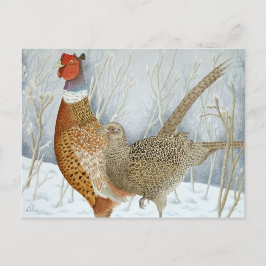 Carte Postale Les faisans dans la neige (Devant)