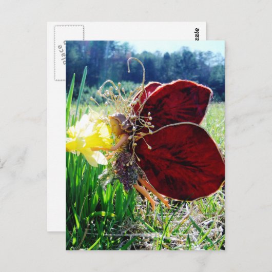 Carte Postale Les fées dans les jonquilles (Devant / Derrière)