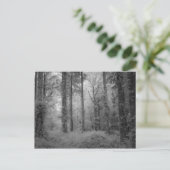 Carte Postale Les fées de Werndee Woods No1 (Debout devant)