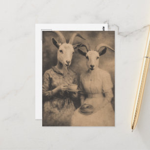 Carte Postale Les femmes chèvres Thé et Bagel Rétro Sépia