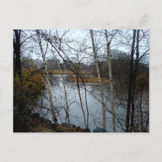 Carte Postale Les Fens, Back Bay, Boston (Devant)