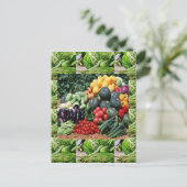 Carte Postale Les fermiers marché veggie délecter les cuisiniers (Debout devant)