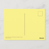 Carte Postale Les Feuilles de l'érable à sucre changent de coule (Dos)