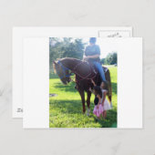 Carte Postale Les filles de pony (Devant / Derrière)