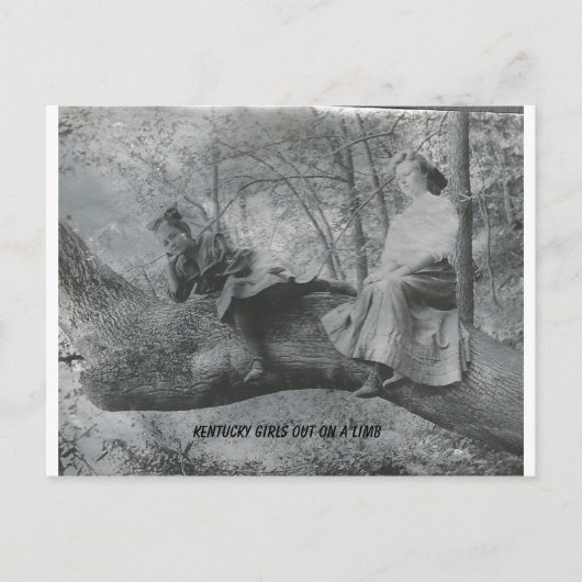 Carte Postale Les filles du Kentucky sur un membre (Devant)