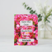 Carte Postale Les Fleurs De Begonia Rose Chaud Sauvent La Date, (Debout devant)