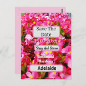 Carte Postale Les Fleurs De Begonia Rose Chaud Sauvent La Date, (Devant / Derrière)