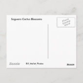 Carte Postale Les fleurs de cactus du Saguaro (Dos)