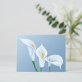 Carte Postale Les fleurs de Calla (Debout devant)