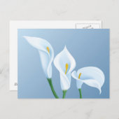 Carte Postale Les fleurs de Calla (Devant / Derrière)